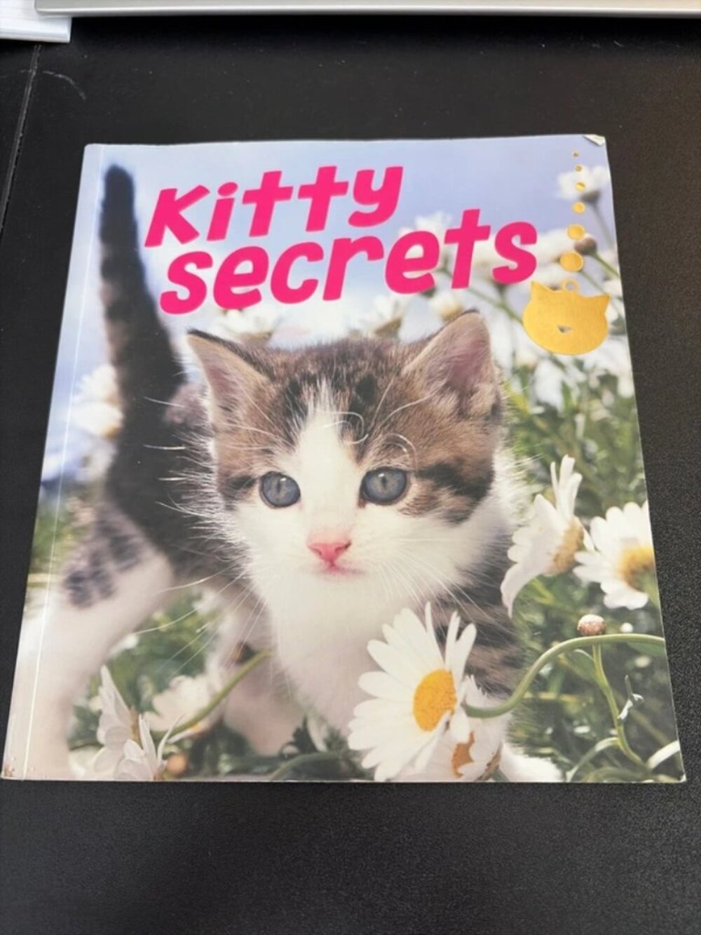 Kitty secrets